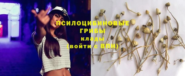 ПСИЛОЦИБИНОВЫЕ ГРИБЫ Горнозаводск