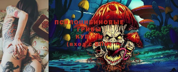 бошки Алзамай
